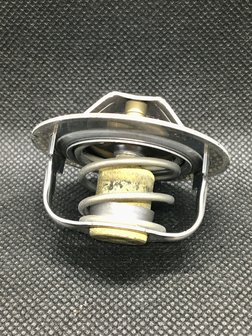 Kawasaki ZX10R (2011/2015) Thermostat