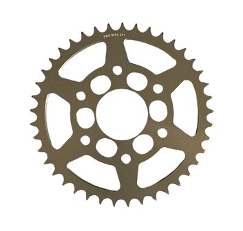 Pro Bike Sprocket LCR/ARS 520 (flat)