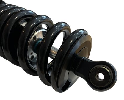 Shock Factory shock absorber LCR F2 rear