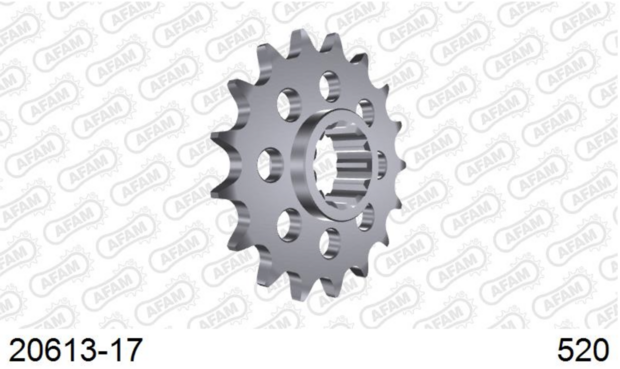 AFAM sprocket front 17T Honda CBR 600cc PC 40 (520 convers)