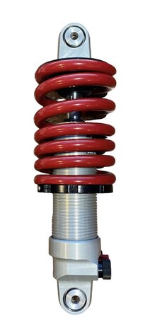 Shock Factory 2Win shock absorber with double adjustment LCR F1 rear 10-23