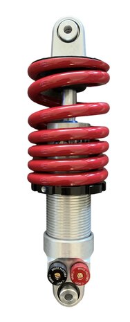 Shock Factory 2Win shock absorber with double adjustment ARS F1 rear 18-24