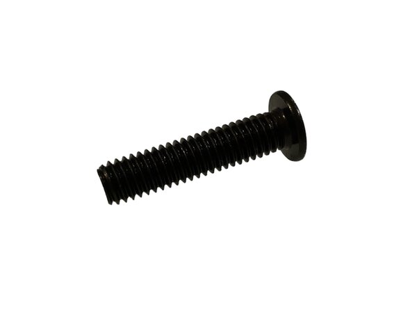 Screw M6x25 10.9 black WKN: EF7984 (10 pieces)