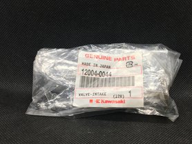 Kawasaki Valve-Intake 12004-0044